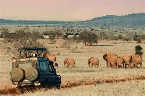 exoticca reviews|exoticca travel reviews tripadvisor.
